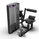 Maquina Back Extension Next