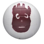 Balón de Voleibol Wilson AVP Castaway (Nº 5)