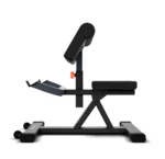 Banco de bíceps con pesas libres - Imagen 3