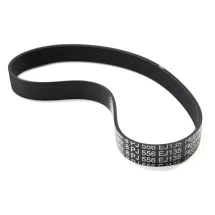 Correa de Transmisión para Spinning