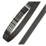 Correa para Elípticas Magnéticas