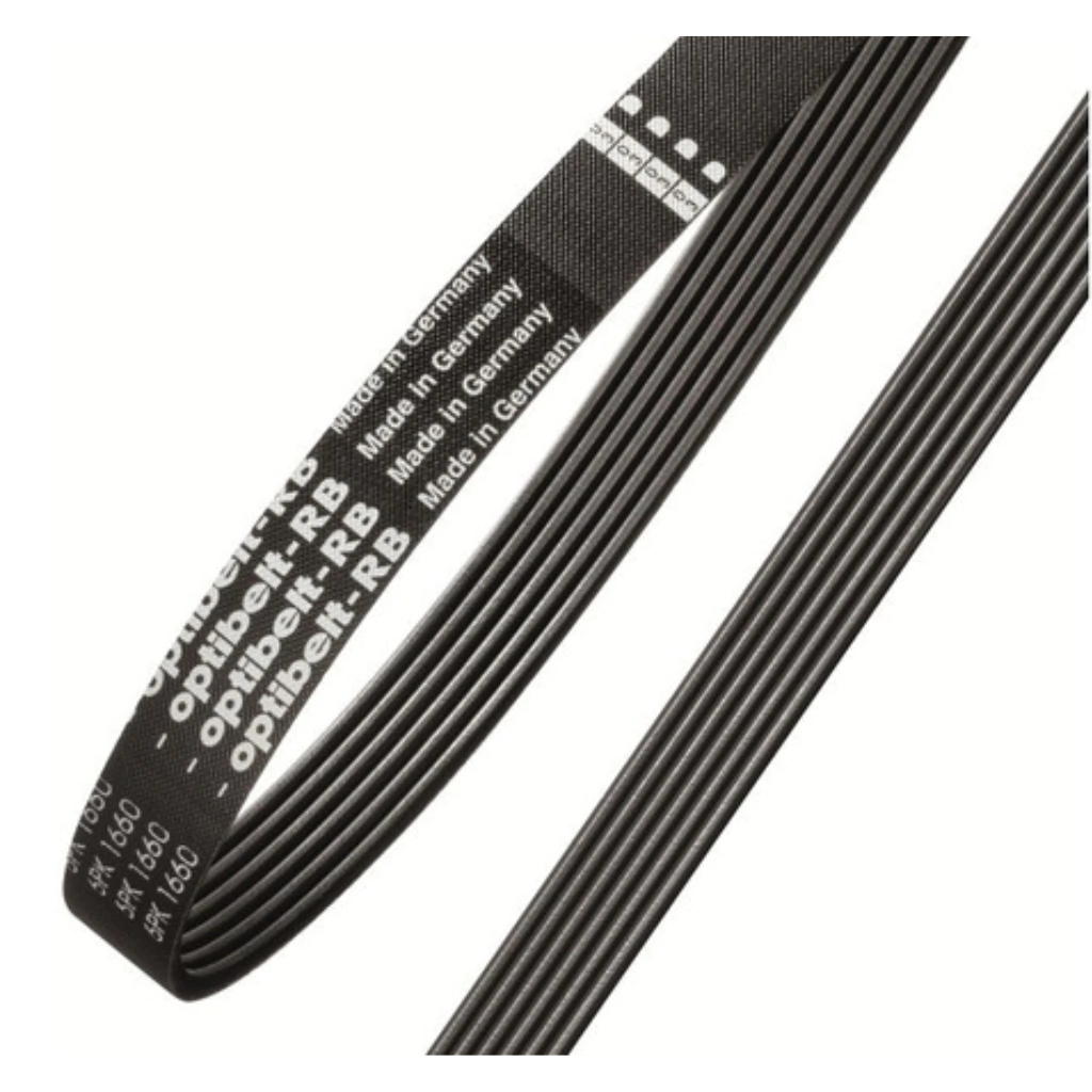 Correa para Elípticas Magnéticas Correa para Elípticas Magnéticas