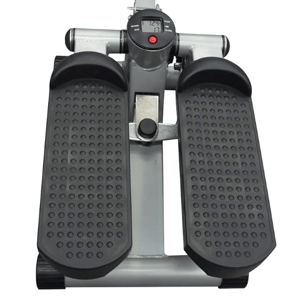 Bicicleta Elíptica E650 Evolution