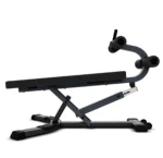 Plancha abdominal con pesas libres - Imagen 3