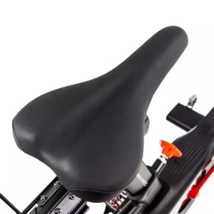 Spinning Profesional R-ONE