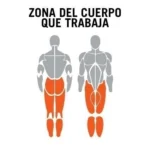 Trotadora Evo 304t Evolution